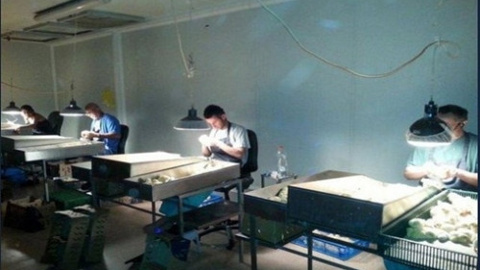 Bu meslekler sizi çok şaşırtacak