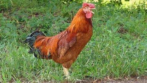 Büyük filozoflar tarafından yapılan 10 çılgınlık