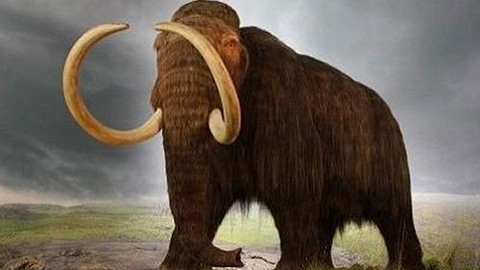 Çok şaşıracağınız 30 ilginç bilgi!