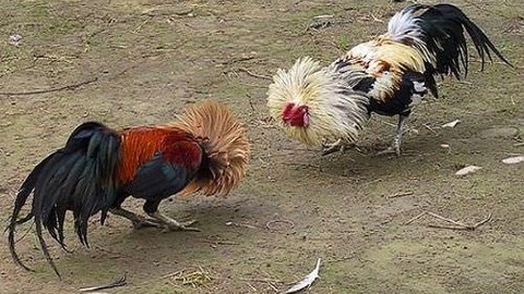Dünyanın en garip ölümleri