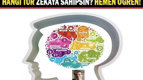 Hangi tür zekaya sahipsiniz hemen öğren!