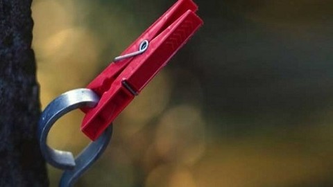 insanın bilmesi gereken parlak fikirler