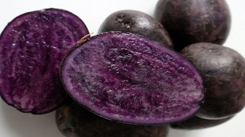 Mor patates gördünüz mü?
