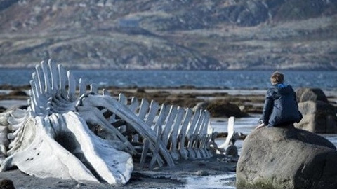 Vizyonda bu hafta: 16 Ocak 2015