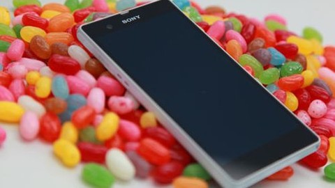 Ufukta iki yeni Xperia telefon görünüyor