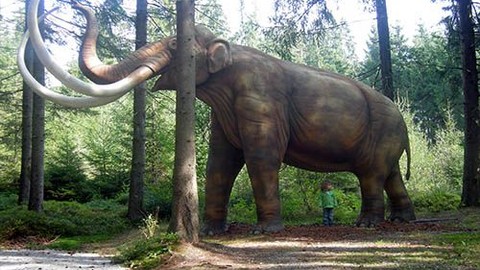 Mamut klonlayacaklar!