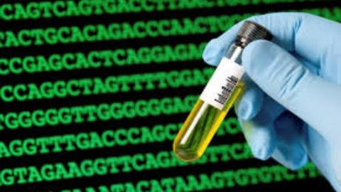 Dünyanın en eski İnsan DNA'sı bulundu!
