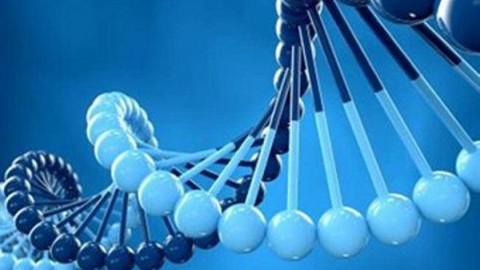 İlk Türk İnsan Genomu yayını gerçekleştirildi