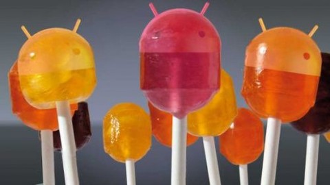 Android L'nin tüm duvar kağıtları ve ön yükleme animasyonu burada! İndir