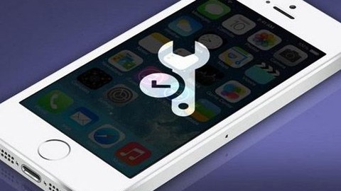Apple iPhone 6'nın pili bu mu?