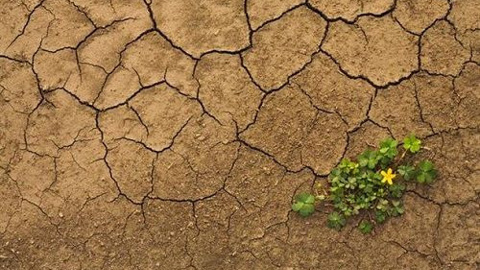 Küresel ısınma Afrika'da aşırı kuraklıklara yol açabilir