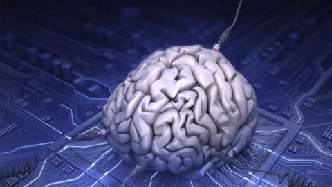 'Robot Beyin' Dünyayı öğretecek!