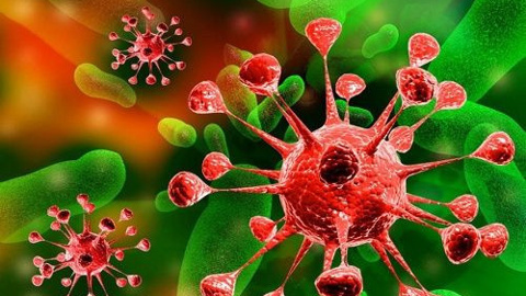 Ebola bitmeden şimdi de Lassa virüsü çıktı!