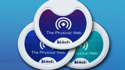 Blesh, son zamanların en yüksek teknoloji ihracatını yaptı