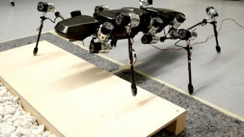 Bilimin yeni araştırmacısı: Böcek robot Hector [Video]