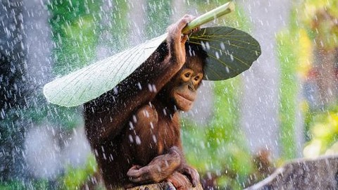 2015 Sony Uluslararası Mobil Fotoğraf Ödülü sahibini arıyor