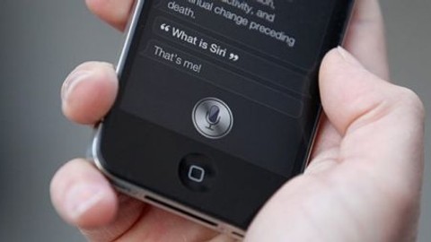 Türkler'in Siri'ye küfür endişesi!