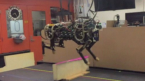 Cheetah robotu artık karşısına çıkan engelleri aşabiliyor