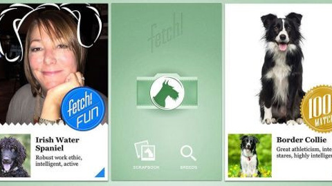 Microsoft Fetch adlı uygulama fotoğraflardan köpek cinsini tanıyor!
