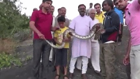 Selfie çekerken piton yılanı ısırdı!