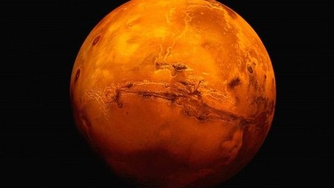 Mars'ta yaşayabilen canlı!