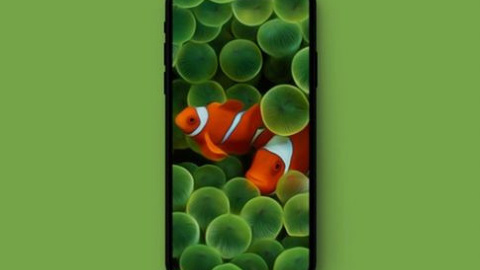 iPhone X için orijinal iPhone duvar kağıtları