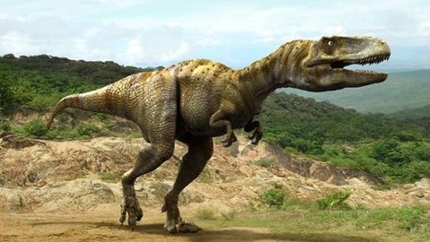 Bugüne kadar keşfedilmiş en büyük dinozor izlerinden birisi bulundu.