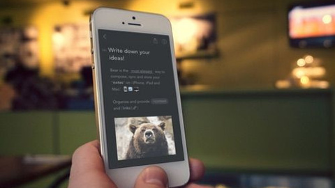 Bear inceleme