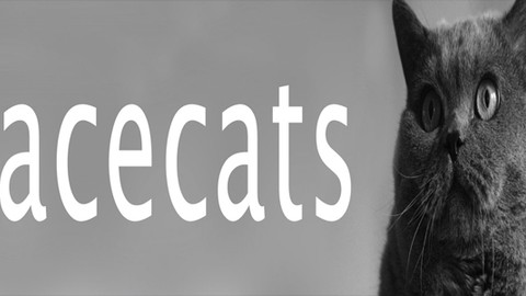 Facebook'a kedi eklentisi!