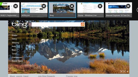 Internet Explorer 10 Metro' da Flash olmayacak