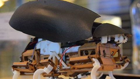 1,5 metreye kadar zıplayabilen robot böcek üretildi