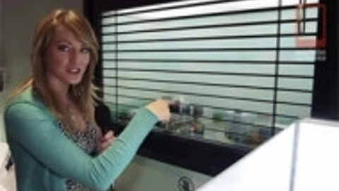 CES fuarında Samsung Smart Window - Video