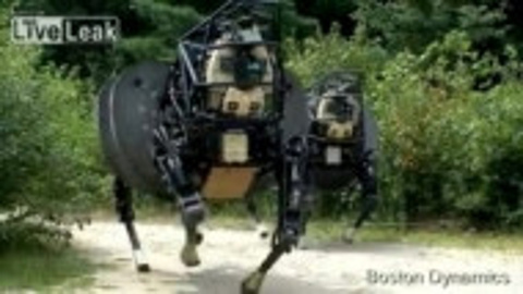 Robot atı gördünüz mü?