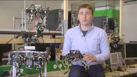 İsviçreli ekipten robot kedi