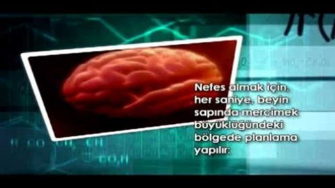 Her saniye vücudumuzda neler oluyor?