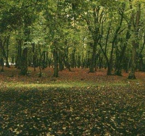 İşte dünyanın en tuhaf bilgileri-2 - Resim: 32