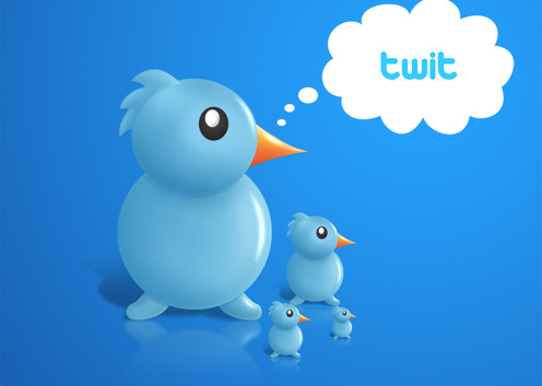1329406946_tweetbird.jpg
