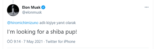 Shiba Inu ile ilgili merak ettiğiniz her şey! - Resim : 2