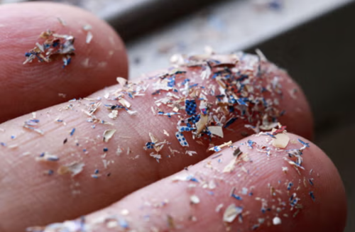 Bilim insanları uyardı: Sebze köklerine dikkat! Bu zararlı madde yer alıyor olabilir - Resim : 1