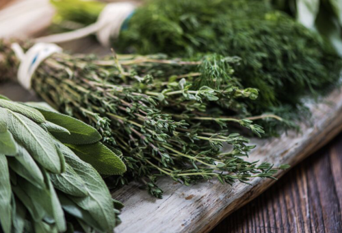 Dereotunun sağlık faydaları saymakla bitmiyor! - Resim : 1
