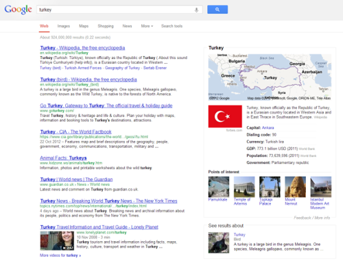 1352271873_googlesearchpagesturkey2132.png