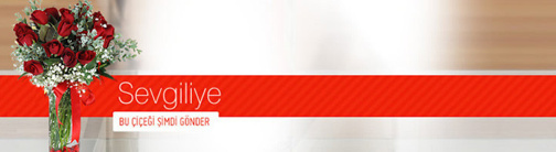 1329087237_bannersevgiliye3.jpg