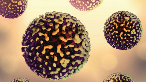 İnsan beynindeki hücrelerde Hepatit C virüsü bulundu - Resim : 1