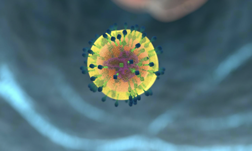 Bağışıklık sistemini genç tutmanın sırrı bulundu: Peki bedeli ne? - Resim : 1