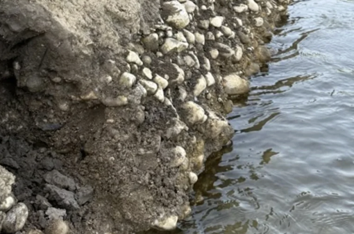 4.000 yıllık insan kafatası bulundu: “Olağanüstü bir keşif” - Resim : 1