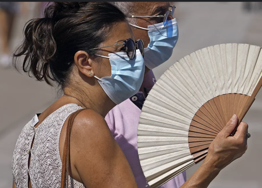 Portekiz'de kavurucu sıcaklar: Bir haftada 264 kişi hayatını kaybetti - Resim : 1