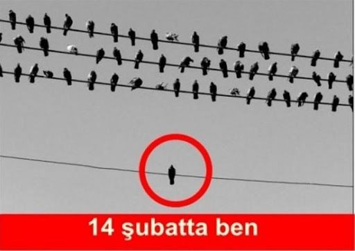 14 Şubat Sevgililer Günü capsleri gülmekten kırdı geçirdi! - Resim: 7