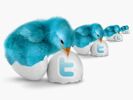 1357480721_twitter-logo.png