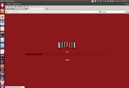 1353197111_11-16-2012netflixonlinux.jpg