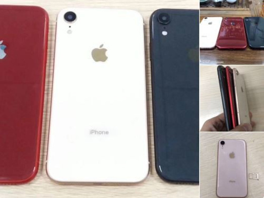 iPhone XC en ucuz iPhone olabilir! - Resim : 1